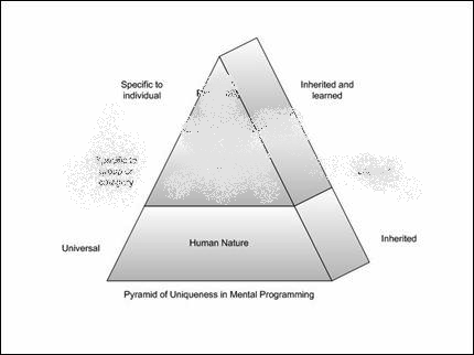 Beyond Cultural Programming